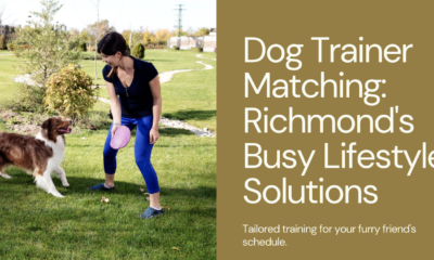 Finding a Dog Trainer In Richmond That Works With Your Busy Lifestyle